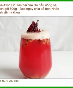 Tác hại của Hoa Atiso Đỏ nếu uống sai cách gói 500g - Bán sỉ lẻ TPHCM