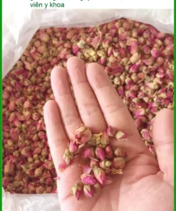 Tác hại của Nụ Hoa Hồng nếu uống sai cách gói 500g - Bán Giao nhanh TPHCM