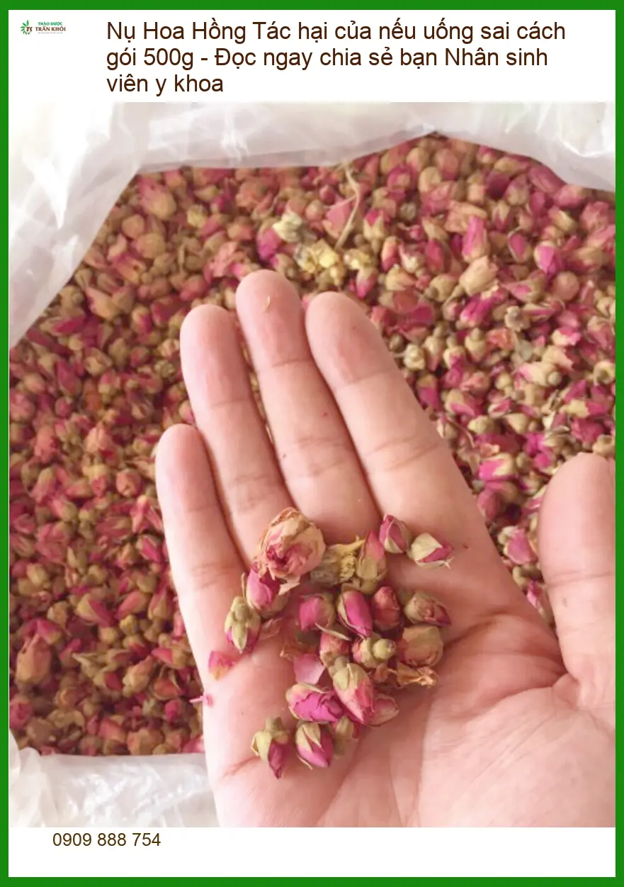 Nụ Hoa Hồng gói 500g - Tác hại nếu uống sai cách - Sỉ lẻ Giao nhanh TPHCM