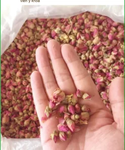 Tác hại Nụ Hoa Hồng uống sai cách gói 500g - Đơn vị Cung cấp Có sẵn TPHCM