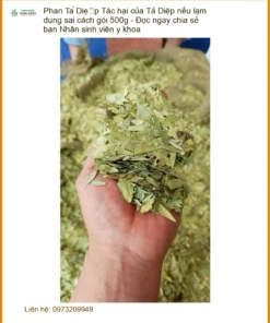 Phan Tả Diệp 500g - Tác hại & Cách dùng đúng chuẩn y khoa - Địa chỉ bán TPHCM