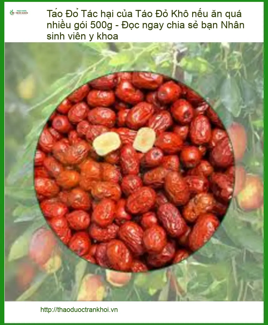 Tác hại của Táo Đỏ Khô 500g - Địa chỉ cung cấp sỉ lẻ giao nhanh tại TPHCM