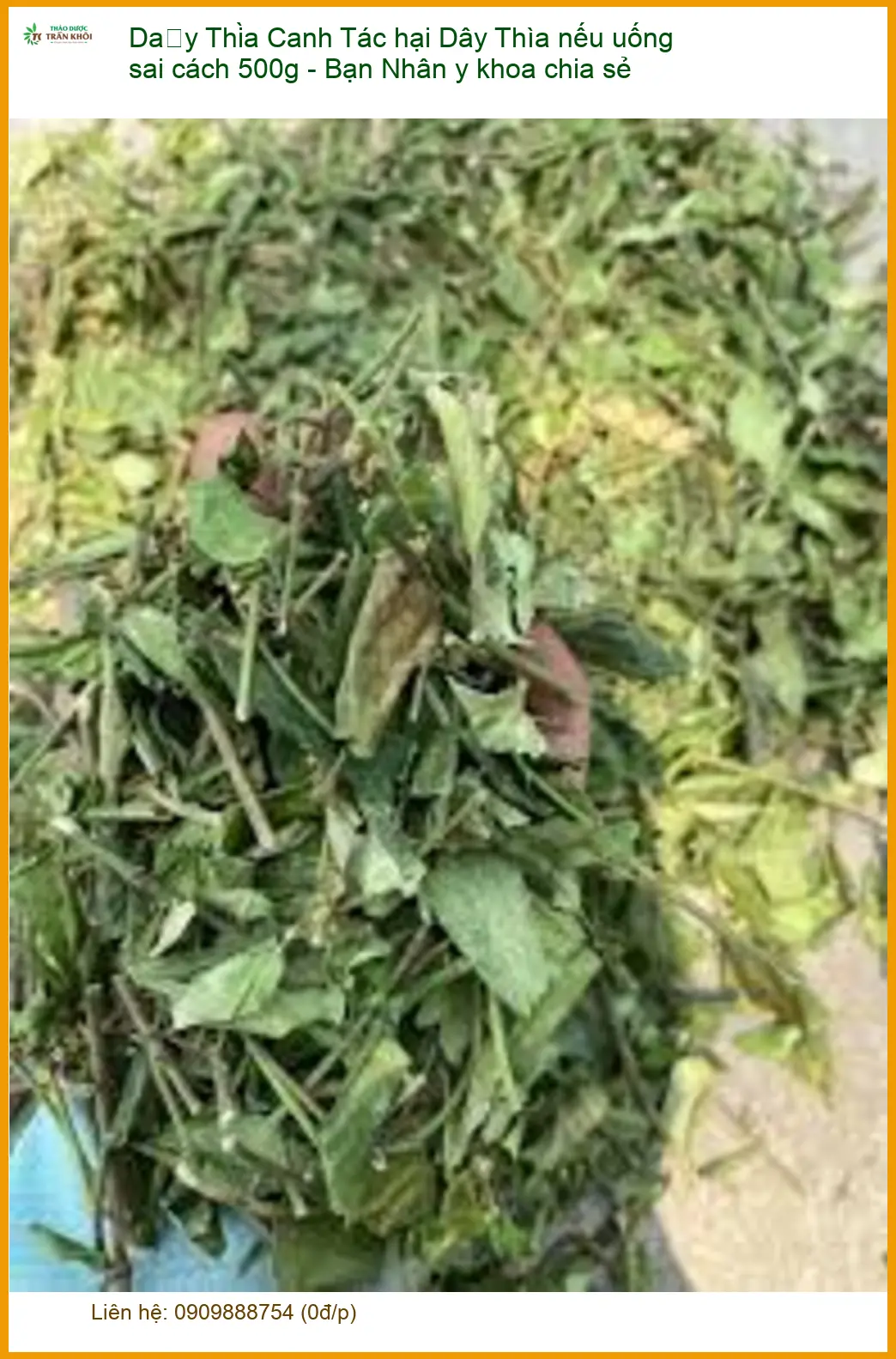 Tác hại Dây Thìa Canh nếu uống sai cách 500g - Bạn Nhân y khoa chia sẻ - Có sẵn TPHCM