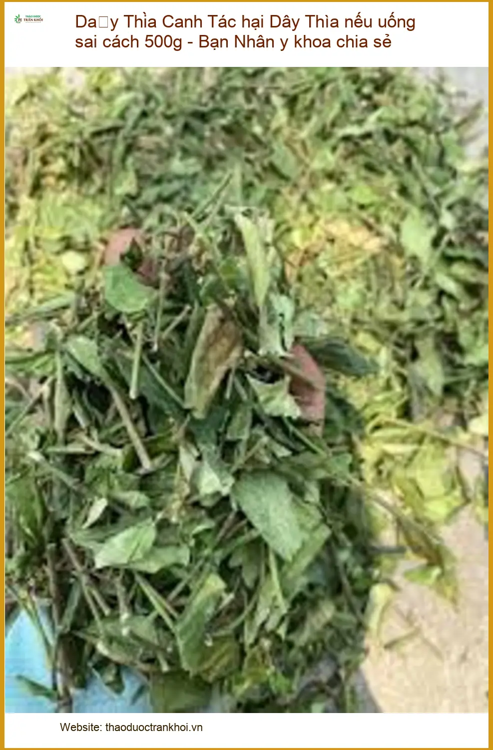 Tác hại Dây Thìa Canh nếu uống sai cách 500g - Bạn Nhân y khoa chia sẻ - HCM