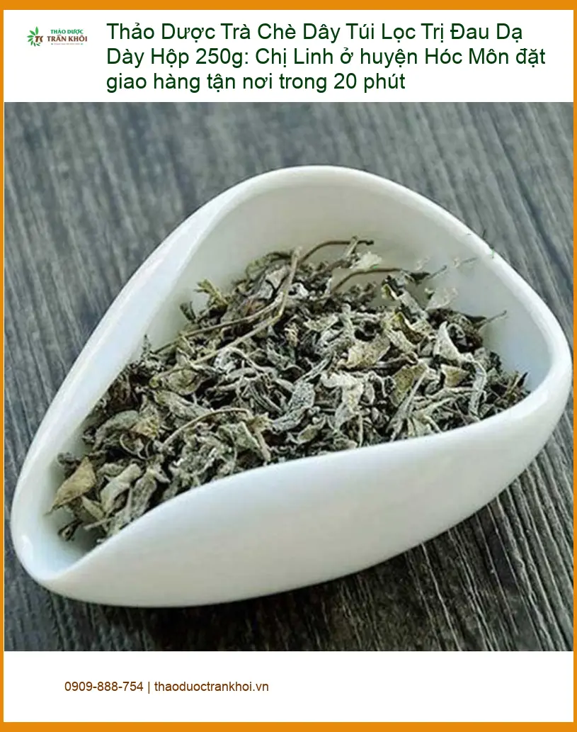 Trà Chè Dây Túi Lọc Trị Đau Dạ Dày Hộp 250g - Đơn vị Cung cấp Giao nhanh TPHCM