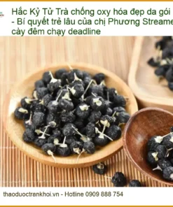 Trà Hắc Kỷ Tử chống oxy hóa đẹp da gói 500g - Địa chỉ Bán Giao nhanh TPHCM