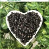 Trà Hắc Kỷ Tử thơm ngon sấy khô 1kg - Địa chỉ Bán Giao nhanh TPHCM