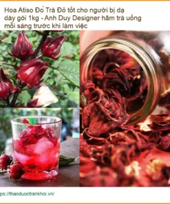 Trà Hoa Atiso Đỏ tốt cho người bị dạ dày gói 1kg - Bán giao nhanh TPHCM