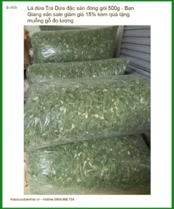 Trà Lá Dứa 500g - Giảm giá 15% + Quà tặng - Địa chỉ bán giao nhanh tại TPHCM