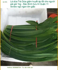 Trà Lá Dứa giảm huyết áp tốt cho người già 1kg - Địa chỉ Bán Giao nhanh