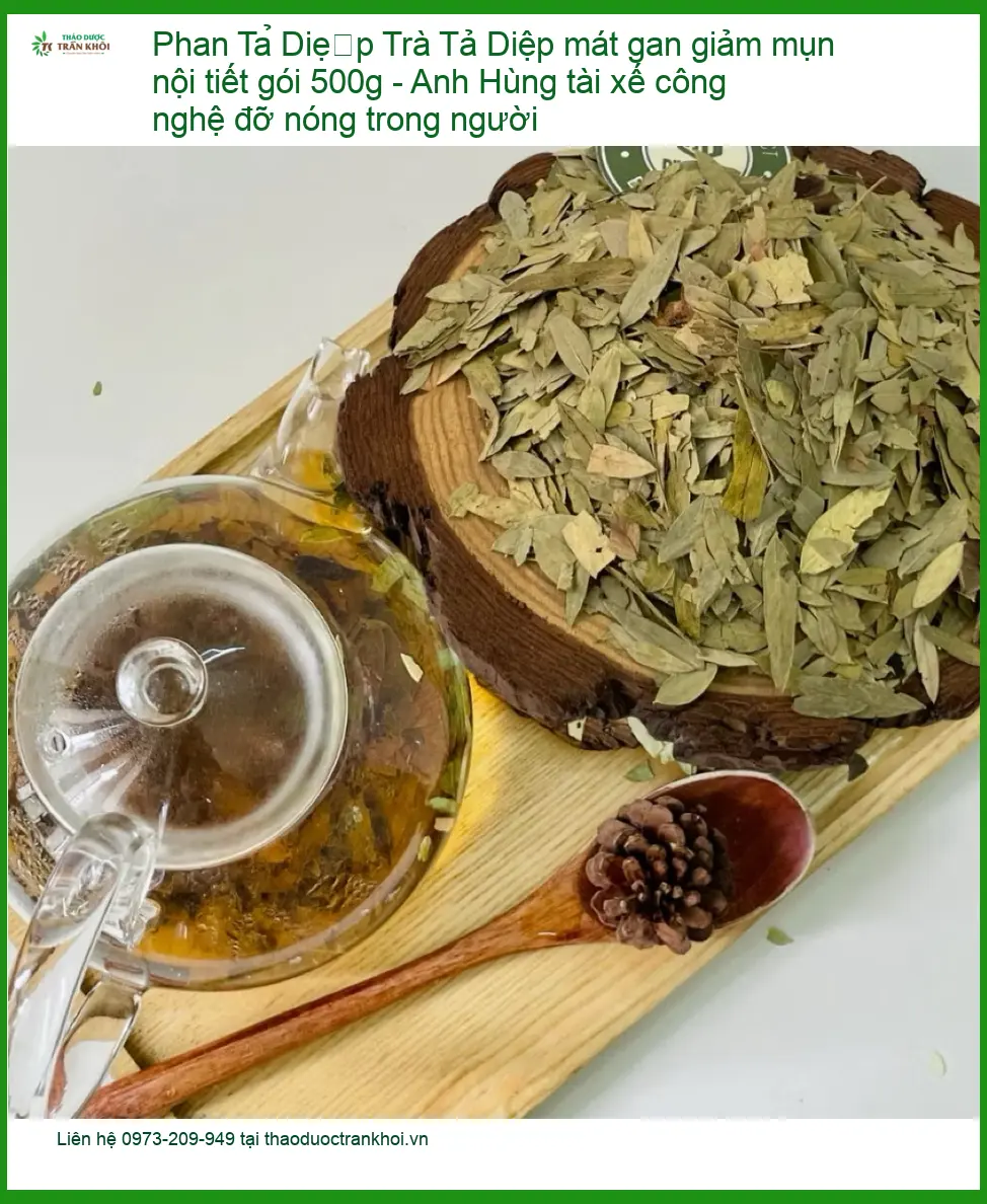 Trà Phan Tả Diệp mát gan giảm mụn 500g - Đơn vị cung cấp có sẵn Sài Gòn