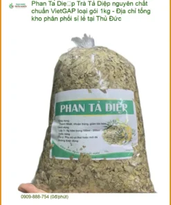 Trà Phan Tả Diệp nguyên chất chuẩn VietGAP 1kg - Sỉ lẻ Giao nhanh Thủ Đức