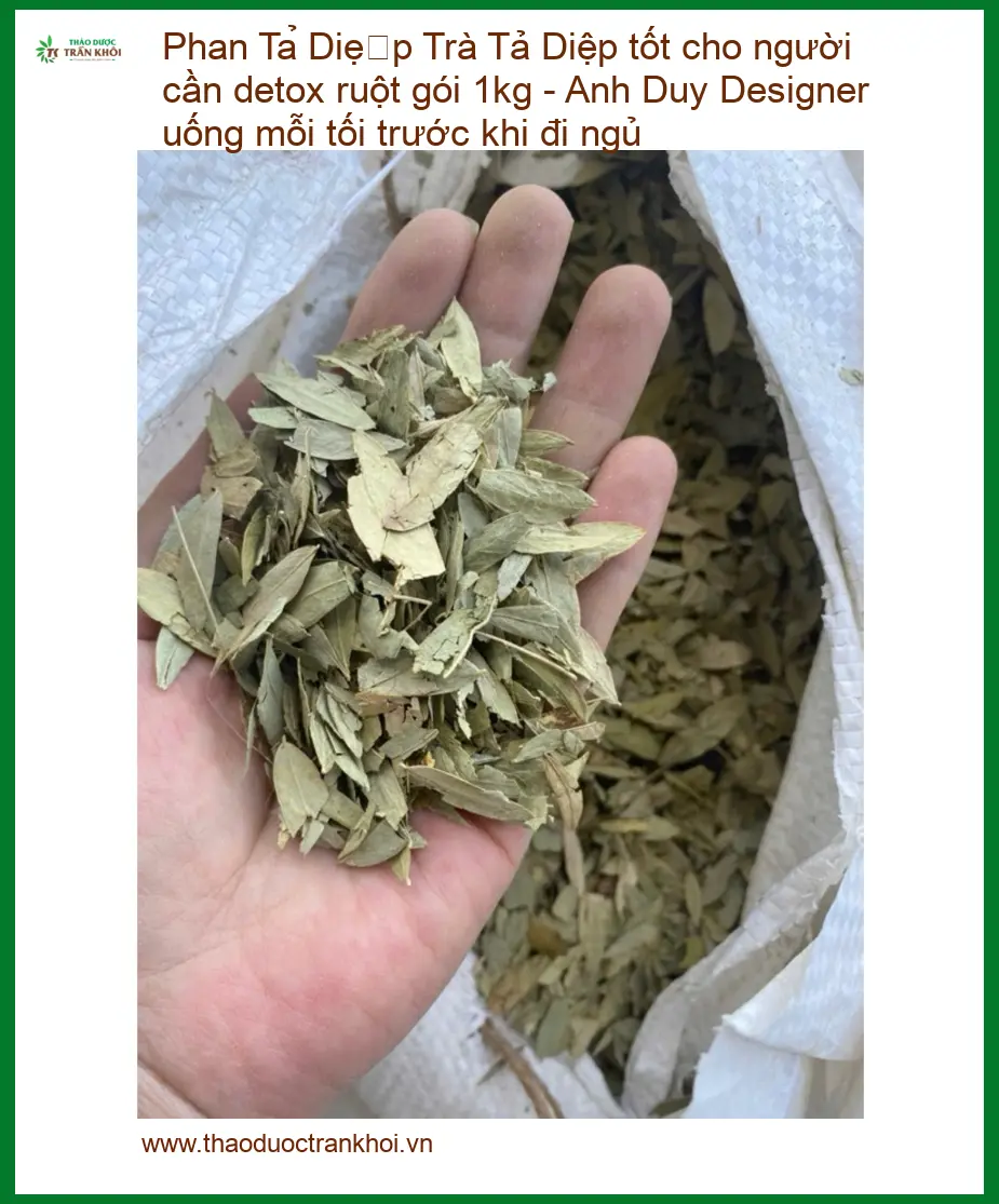 Trà Phan Tả Diệp tốt cho người cần detox ruột gói 1kg - Anh Duy Designer uống mỗi tối trước khi đi ngủ - Sỉ lẻ giao nhanh TPHCM