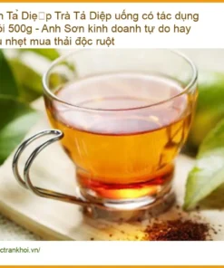 Trà Phan Tả Diệp uống có tác dụng gì gói 500g - Địa chỉ bán sỉ lẻ có sẵn TPHCM