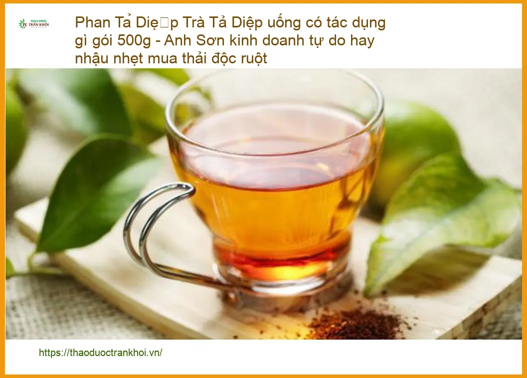 Trà Phan Tả Diệp uống có tác dụng gì gói 500g - Địa chỉ bán sỉ lẻ có sẵn TPHCM