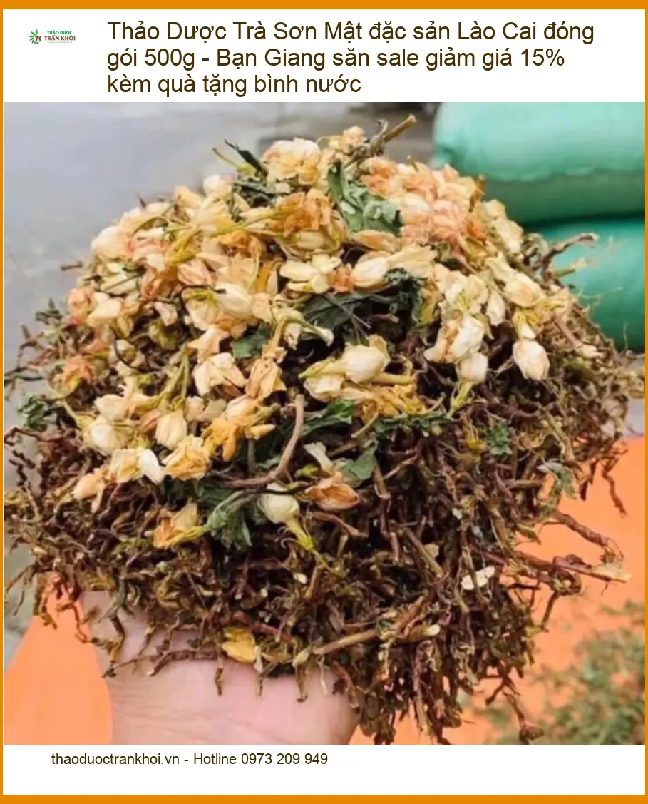 Trà Sơn Mật đặc sản Lào Cai đóng gói 500g - Giao nhanh TPHCM