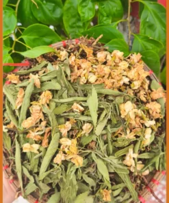 Trà Sơn Mật Hồng Sâm - Đơn vị Cung cấp Có sẵn, Giao nhanh Phú Nhuận