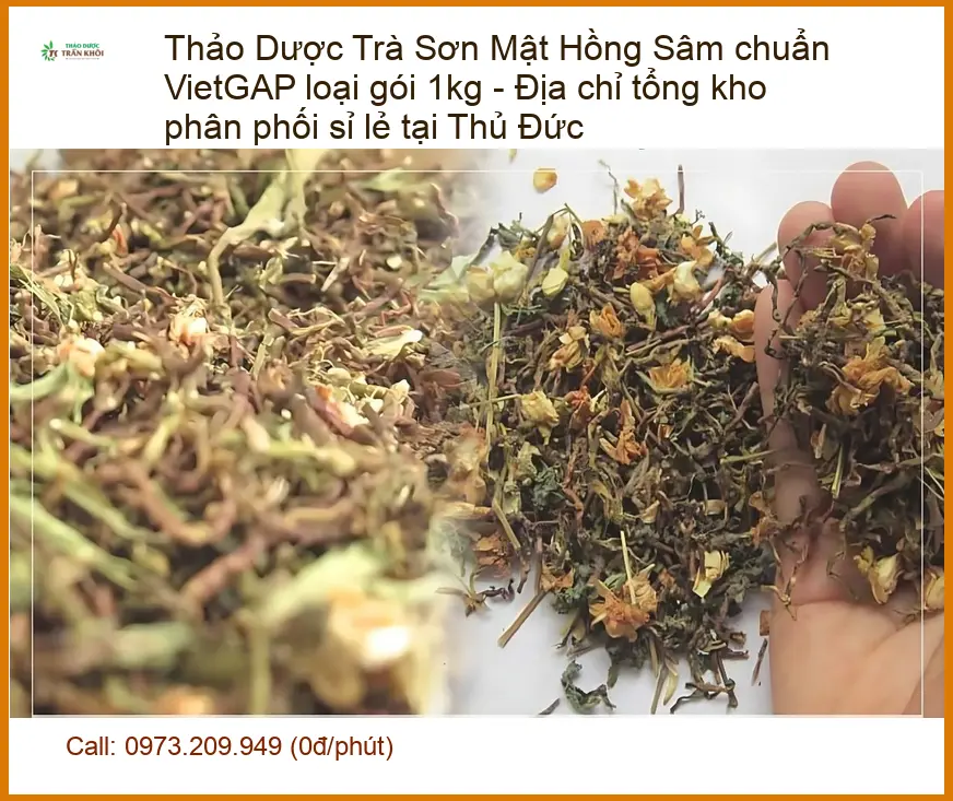 Trà Sơn Mật Hồng Sâm 1kg VietGAP - Địa chỉ bán sỉ lẻ giao nhanh TPHCM