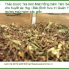 Trà Sơn Mật Hồng Sâm Tâm Sen tốt cho huyết áp 1kg - Địa chỉ Bán Giao nhanh