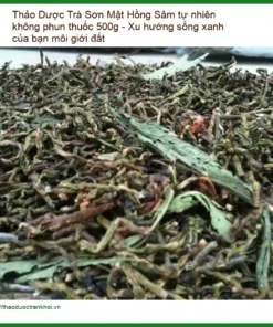 Trà Sơn Mật Hồng Sâm tự nhiên không phun thuốc 500g - Cung cấp giao nhanh TPHCM