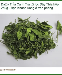 Trà túi lọc Dây Thìa Canh hộp 250g - Bạn Khánh uống ở văn phòng | Sỉ lẻ TPHCM