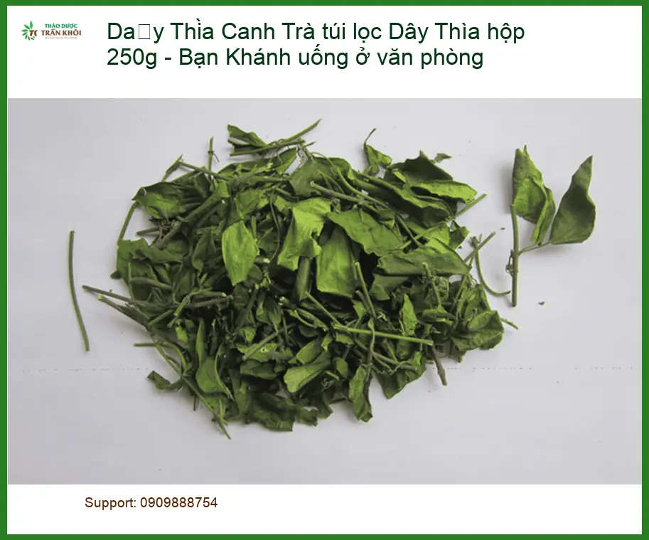 Trà túi lọc Dây Thìa Canh hộp 250g - Bạn Khánh uống ở văn phòng | Sỉ lẻ TPHCM