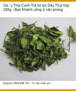 Trà túi lọc Dây Thìa Canh hộp 250g - Bạn Khánh uống ở văn phòng - Sỉ lẻ Có sẵn