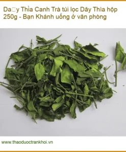 Trà túi lọc Dây Thìa Canh hộp 250g - Bạn Khánh uống ở văn phòng | Bán TPHCM