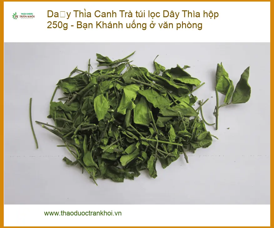 Trà túi lọc Dây Thìa Canh hộp 250g - Bạn Khánh uống ở văn phòng | Bán TPHCM