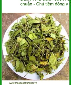 Cách hãm Dây Thìa Canh khô đúng chuẩn - Chủ tiệm đông y Quận 4 chỉ dẫn