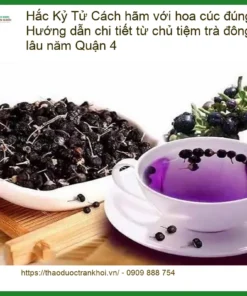 Cách hãm Hắc Kỷ Tử với hoa cúc đúng chuẩn - Địa chỉ Bán sỉ lẻ Giao nhanh TPHCM