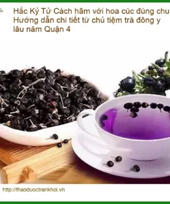 Cách hãm Hắc Kỷ Tử với hoa cúc đúng chuẩn - Đơn vị cung cấp sỉ lẻ có sẵn Quận 4