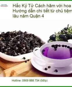 Cách hãm Hắc Kỷ Tử với hoa cúc đúng chuẩn - Địa chỉ bán Hắc Kỷ Tử giao nhanh TPHCM