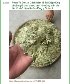 Cách hãm lá Phan Tả Diệp đúng chuẩn - Địa chỉ bán sỉ lẻ giao nhanh tại TPHCM
