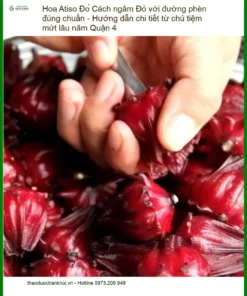 Hoa Atiso Đỏ ngâm đường phèn chuẩn vị Quận 4 - Địa chỉ Bán Giao nhanh TPHCM