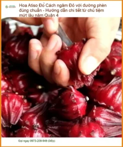 Cách ngâm Hoa Atiso Đỏ với đường phèn đúng chuẩn - Địa chỉ Bán Giao nhanh