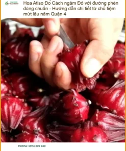 Cách ngâm Hoa Atiso Đỏ đường phèn chuẩn - Địa chỉ Bán Giao nhanh TPHCM
