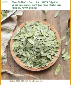 Phan Tả Diệp thật giả - Cảnh báo hàng nhuộm màu độc hại - Bán tại TPHCM
