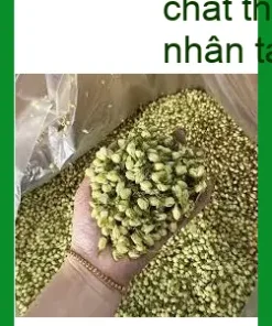 Cách nhận biết Trà Hoa Nhài nguyên chất - Địa chỉ Bán Giao nhanh TPHCM