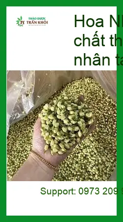 Cách nhận biết Trà Hoa Nhài nguyên chất - Địa chỉ Bán Giao nhanh TPHCM