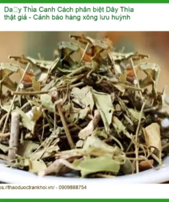 Cách phân biệt Dây Thìa Canh thật giả - Cảnh báo hàng xông lưu huỳnh - Địa chỉ bán giao nhanh TPHCM