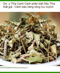 Cách phân biệt Dây Thìa Canh thật giả - Cảnh báo hàng xông lưu huỳnh - Sỉ TPHCM