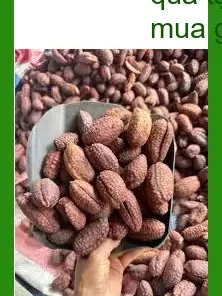 Chuối Hạt Rừng đóng hộp quà tặng Phú Nhuận - Địa chỉ bán giao nhanh TPHCM