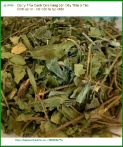 Cửa hàng bán Dây Thìa Canh ở Tân Bình uy tín - Né hàng trộn lá tạp chất