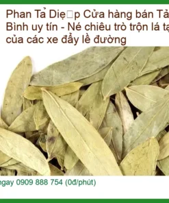 Cửa hàng bán Phan Tả Diệp ở Tân Bình uy tín - Sỉ lẻ giao nhanh TPHCM