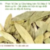 Cửa hàng bán Phan Tả Diệp ở Tân Bình uy tín - Địa chỉ Bán Giao nhanh