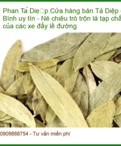 Cửa hàng bán Phan Tả Diệp ở Tân Bình uy tín - Địa chỉ Bán Giao nhanh