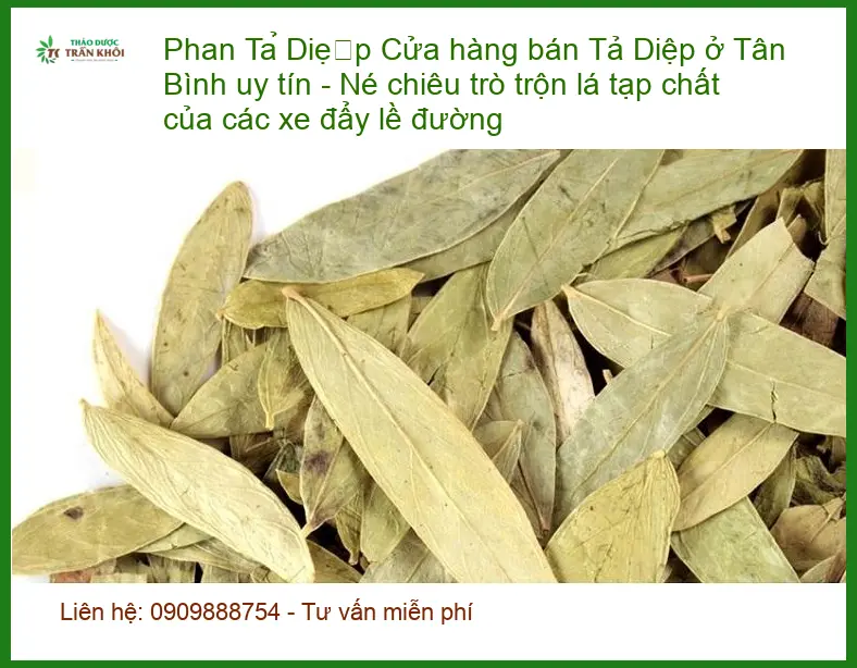 Cửa hàng bán Phan Tả Diệp ở Tân Bình uy tín - Địa chỉ Bán Giao nhanh