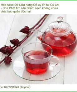 Hoa Atiso Đỏ Củ Chi Chú Phát - Địa chỉ bán sỉ lẻ giao nhanh TPHCM