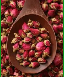 Nụ Hoa Hồng sạch uy tín Củ Chi - Chú Phát cung cấp giao nhanh TPHCM